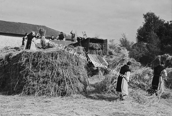 NEW MELLIFONT  MONKS WOKING IN FIELDS POPSSIBLY THRESHING